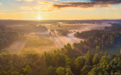 Monatsbericht November 2025